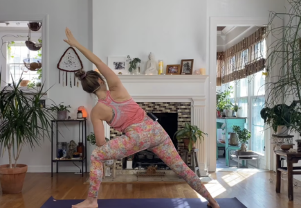 Online Yoga with Nicole Gheorghe